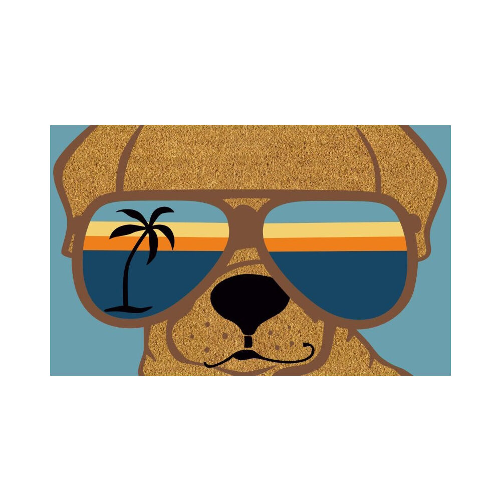 23-8296a-solemate-pvc-backed-coconut-coir-sunnies-doormat-45x75cm