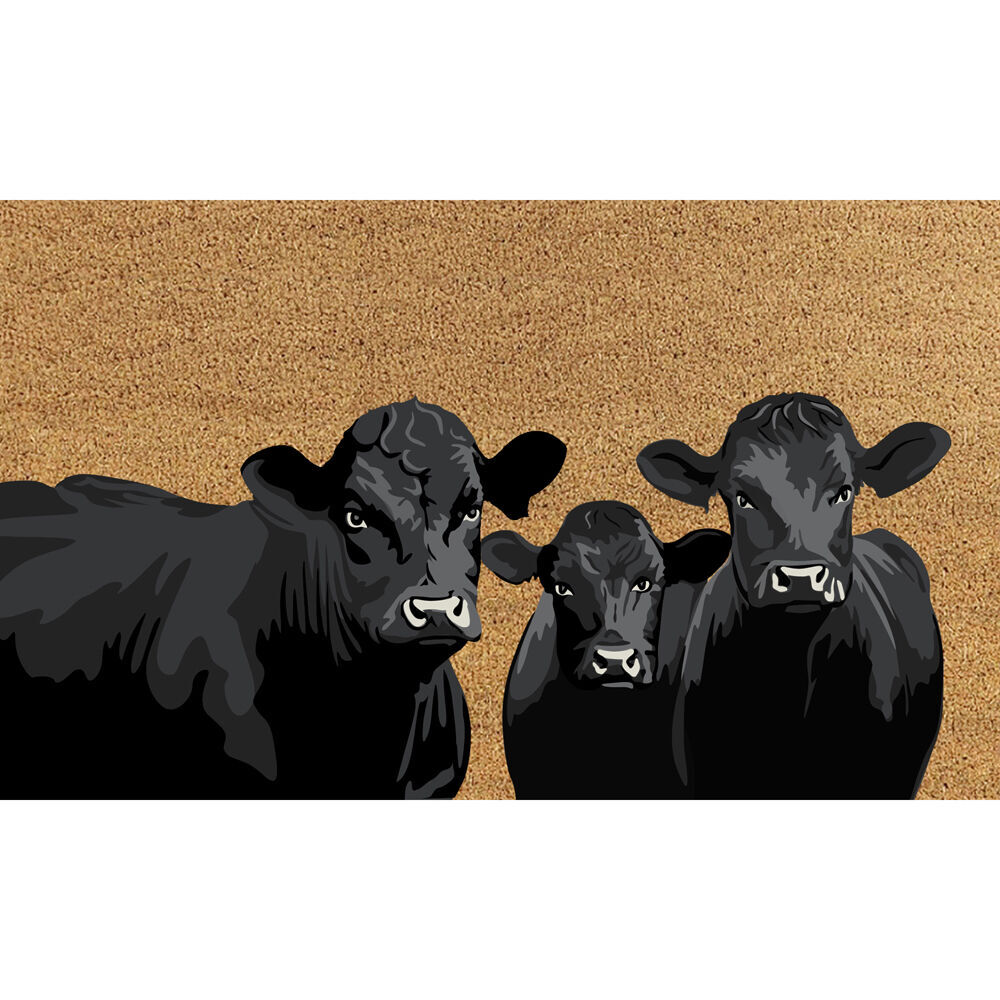 Solemate PVC Backed Coconut Coir Angus Slimline Functional Doormat 45x75cm (2 Pack) — image 2