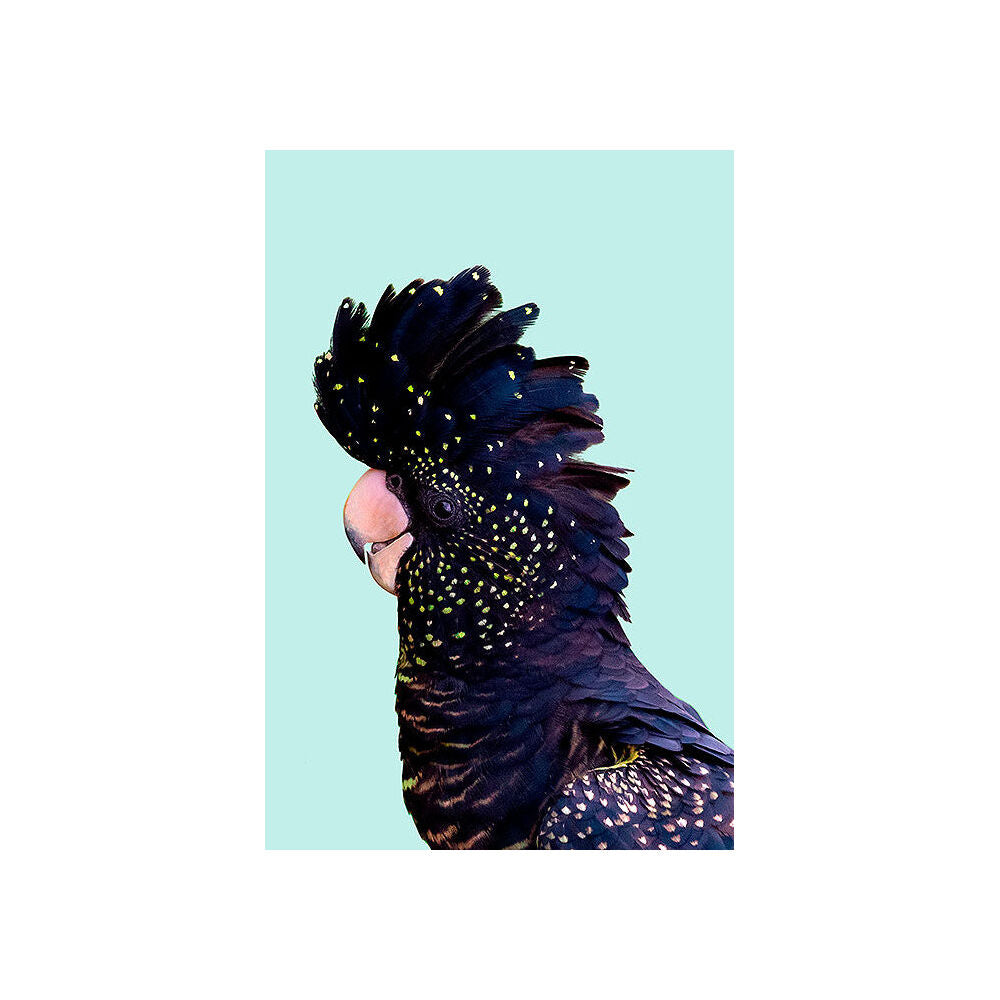 4640-impact-merch-black-cockatoo-on-mint