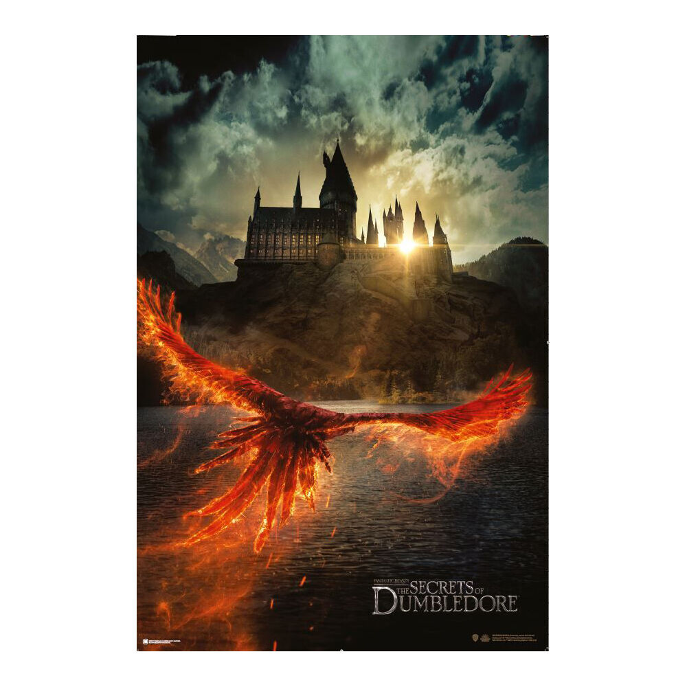 4860-fantastic-beasts-the-secrets-of-dumbledore-poster-91-5x60cm