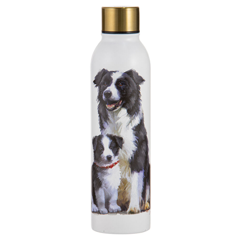 522389-ashdene-puppy-love-border-collie-water-drink-bottle-24-5cm