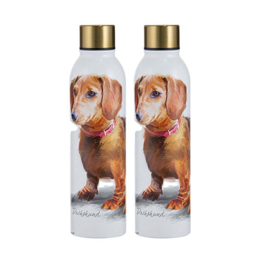 Ashdene Puppy Love Dachshund Drink Bottle 24.5cm Travel Water Container WHT (2 Pack)