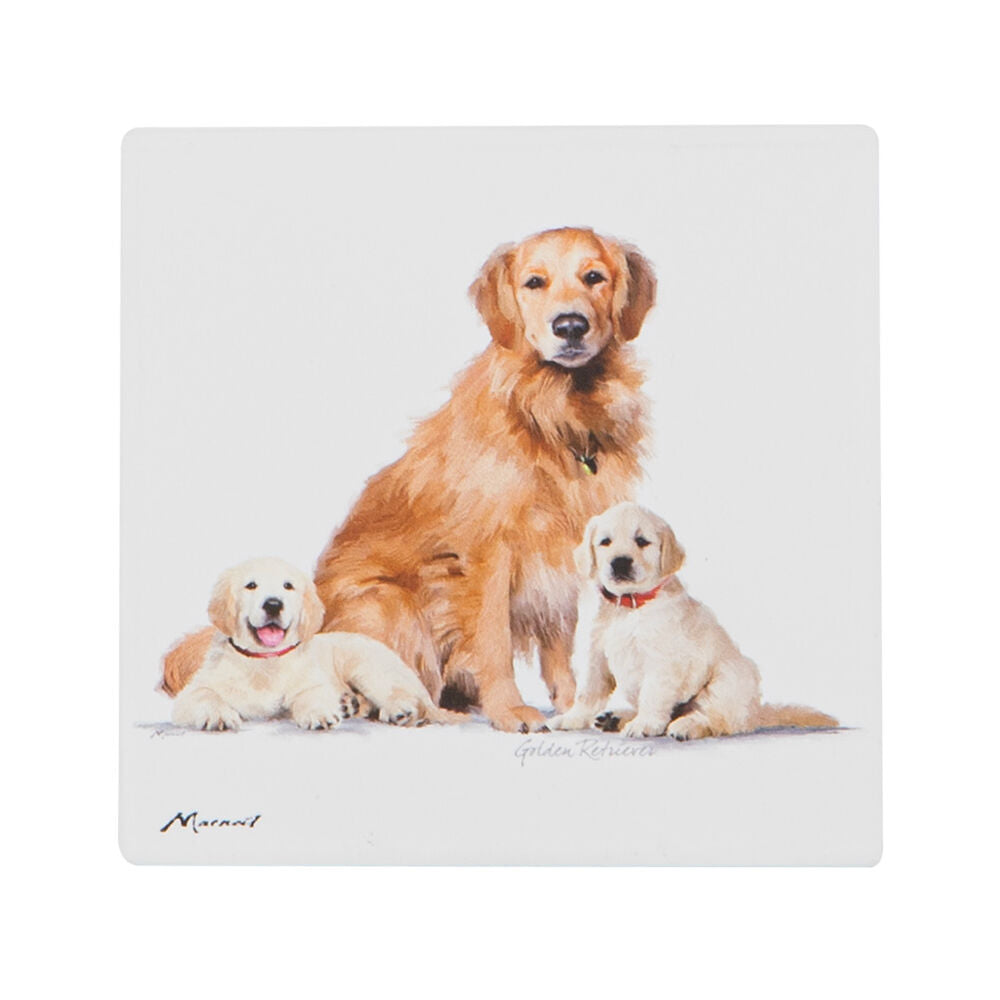 522401-ashdene-puppy-love-golden-retriever-ceramic-coaster-square-10x10cm