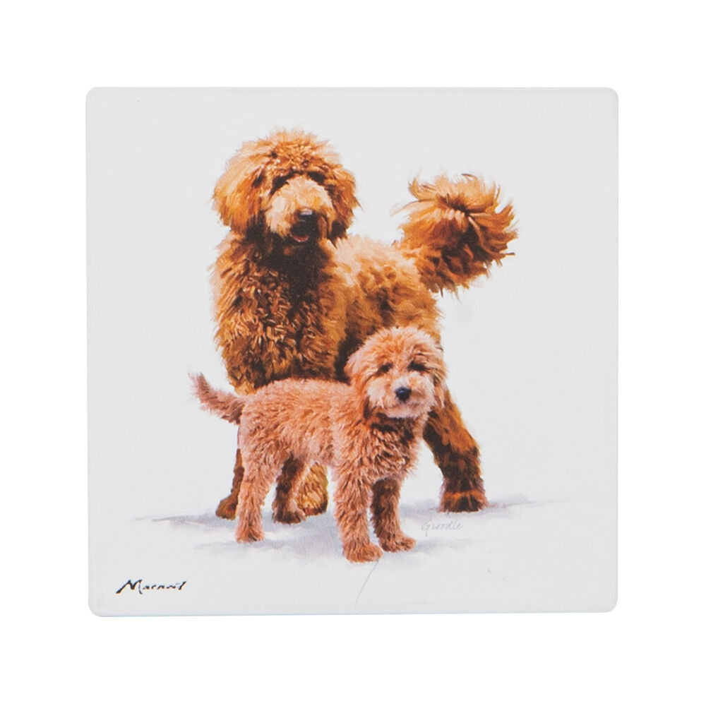 522406-ashdene-puppy-love-groodle-ceramic-coaster-square-10x10cm