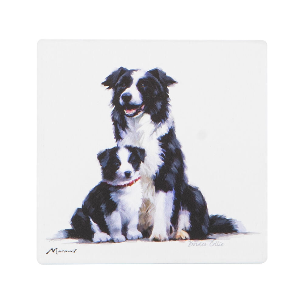 522407-ashdene-puppy-love-border-collie-ceramic-coaster-square-10x10cm