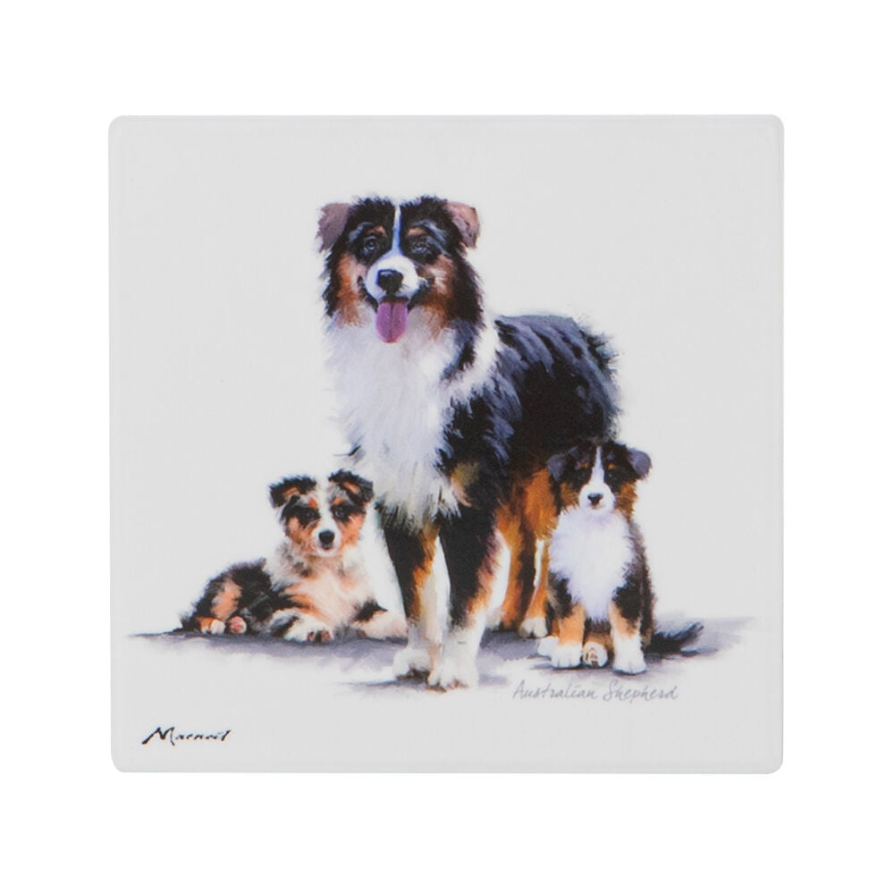 522409-ashdene-puppy-love-australian-shepherd-ceramic-coaster-square-10x10cm