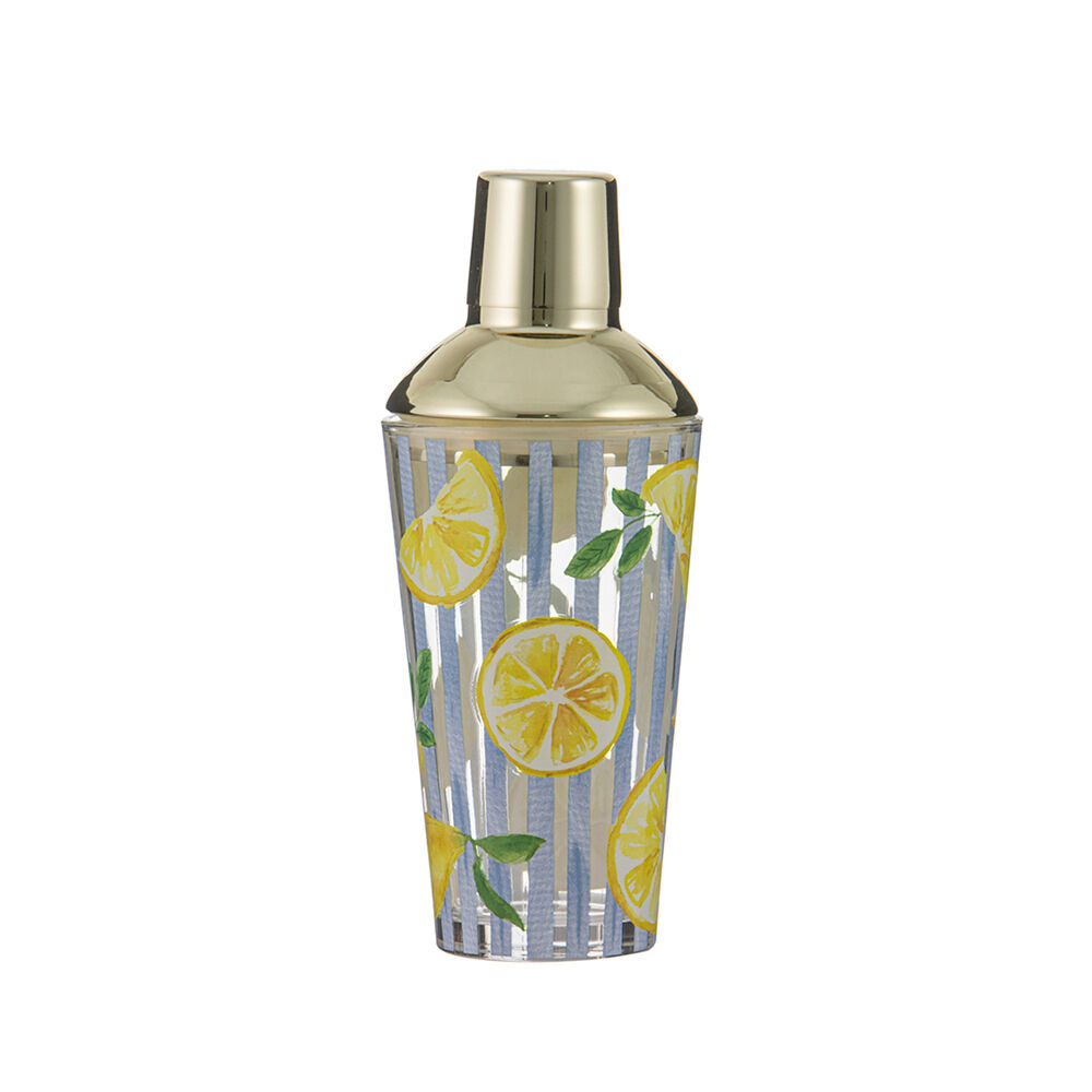 Ladelle Drink/Beverage Mixer Home/Barware Tool Capri Cocktail Shaker