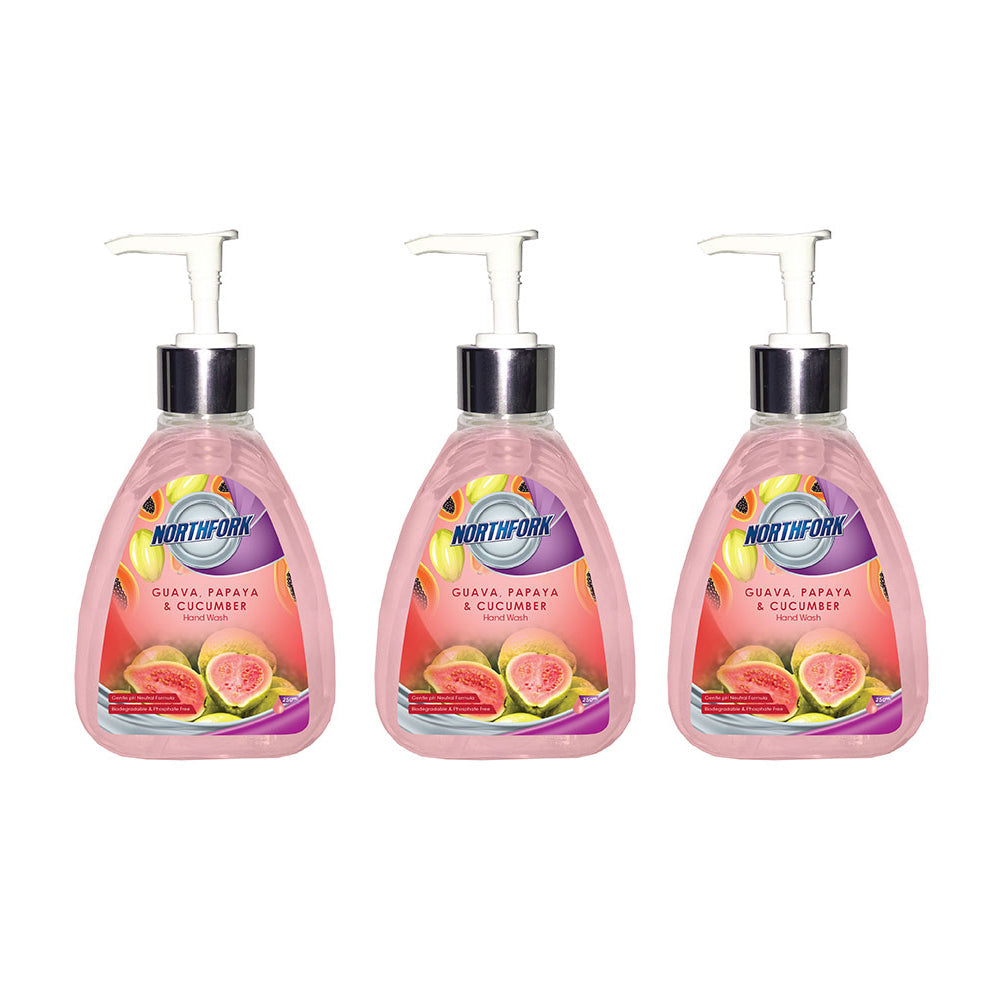 Northfork 250ml Hygienic Cleaning Liquid Hand Wash Guava, Papaya, Cucumber (3 Pack)
