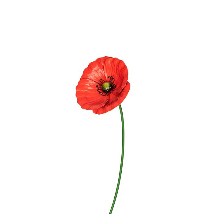 11695-garden-75cm-metal-stake-poppy-large-floral-decor-red
