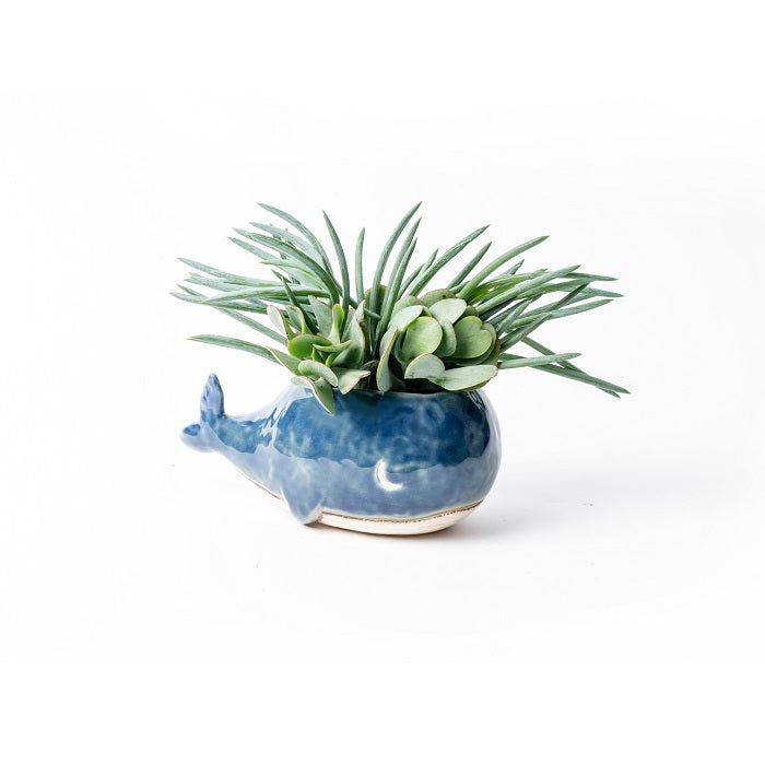 16027-whale-planter-24cm-plant-container-garden-decor-small-dark-blue