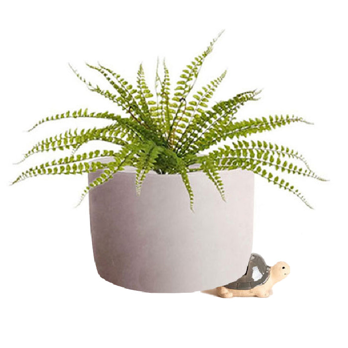 16171-ceramic-9cm-pot-planter-w-turtle-feet-garden-decor-assorted