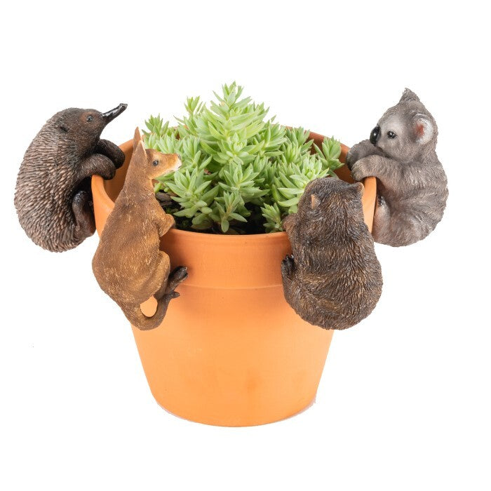 17642-aussie-animal-pot-planter-sitter-ornament-decor-assorted