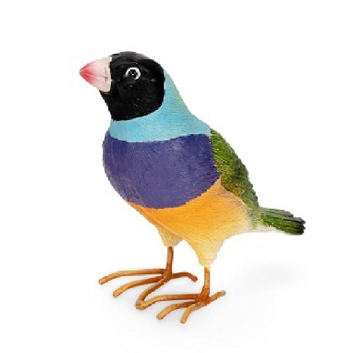 18175-gouldian-finches-8cm-polyresin-small-w-metal-feet-outdoor-decor-assorted