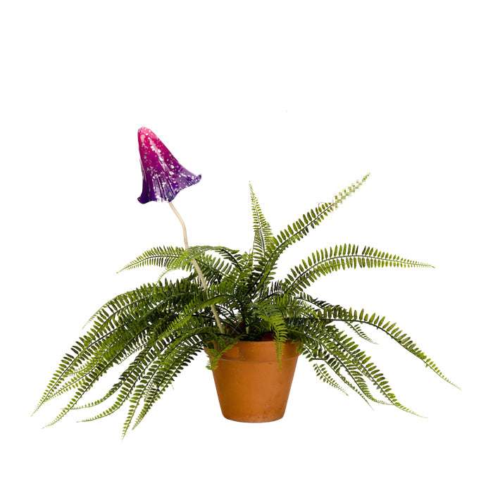 18380-garden-ornament-50cm-toadstool-fairy-decor-assorted