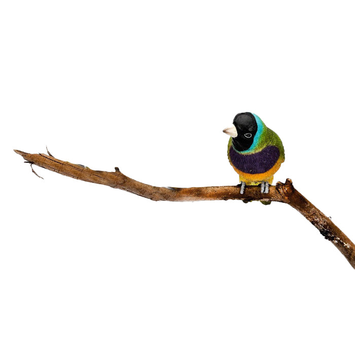 19059-gouldian-finch-12cm-pot-sitter-outdoor-decor-assorted