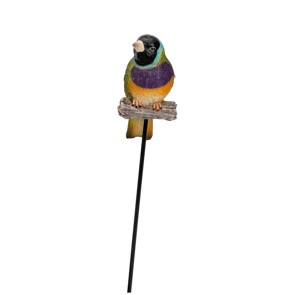 19264-gouldian-finch-on-stick-12cm-ornament-outdoor-decor-large-assorted