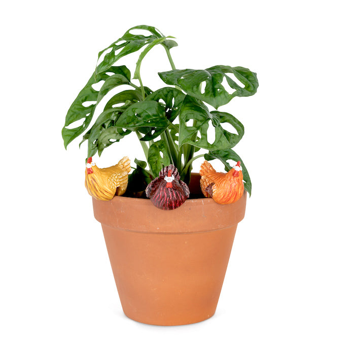 21045-chicken-pot-sitter-4-5cm-planter-decor-coloured-assorted