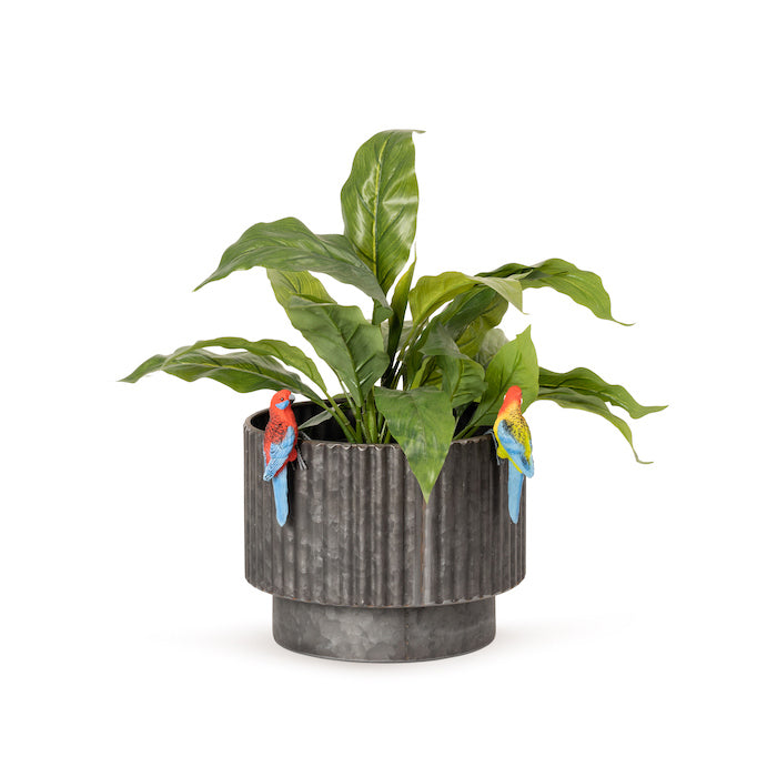 22929-crimson-eastern-rosella-11cm-pot-planter-sitter-garden-decor-assorted