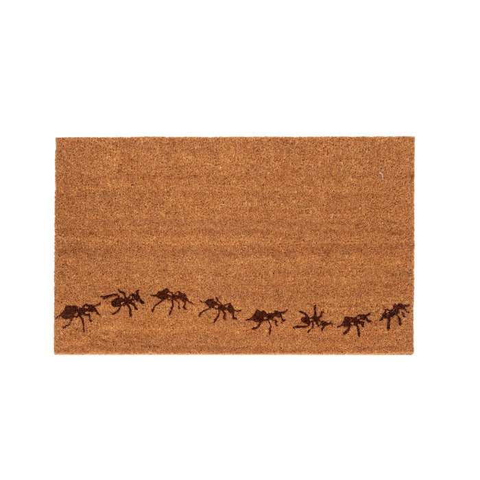 23186-door-mat-45x75cm-rectangle-home-room-decor-large-ants
