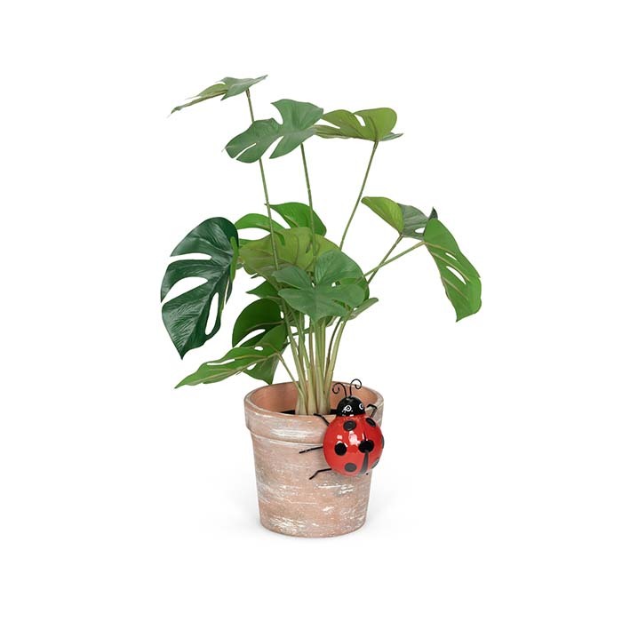 25043-ladybug-10cm-pot-planter-sitter-garden-decor-small-red