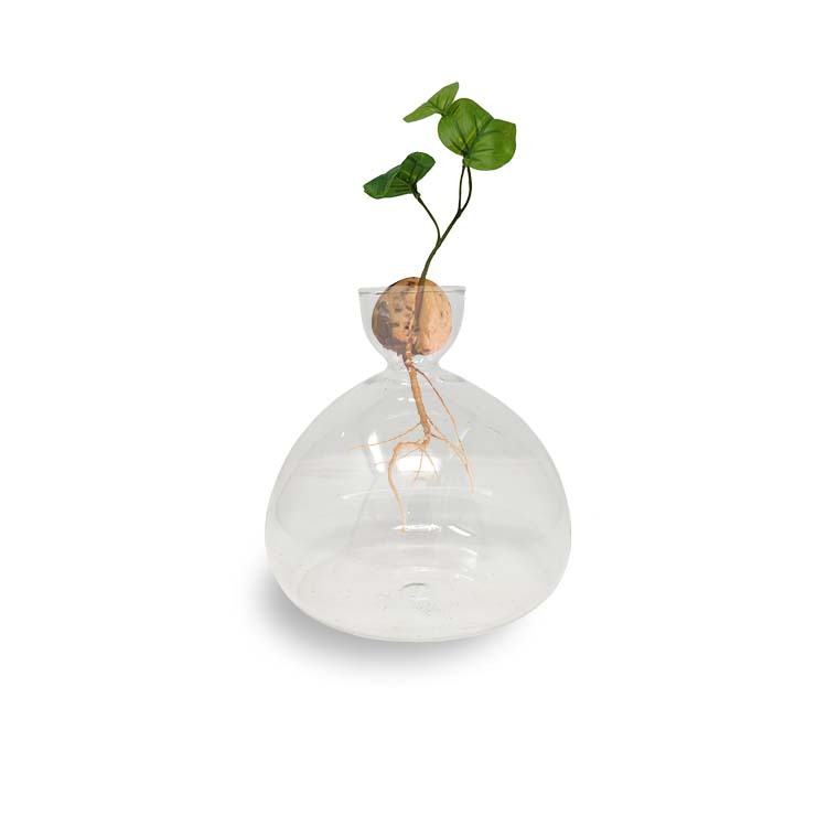 25234-avocado-15cm-glass-vase-planter-outdoor-ornament-yard-patio-garden-decor