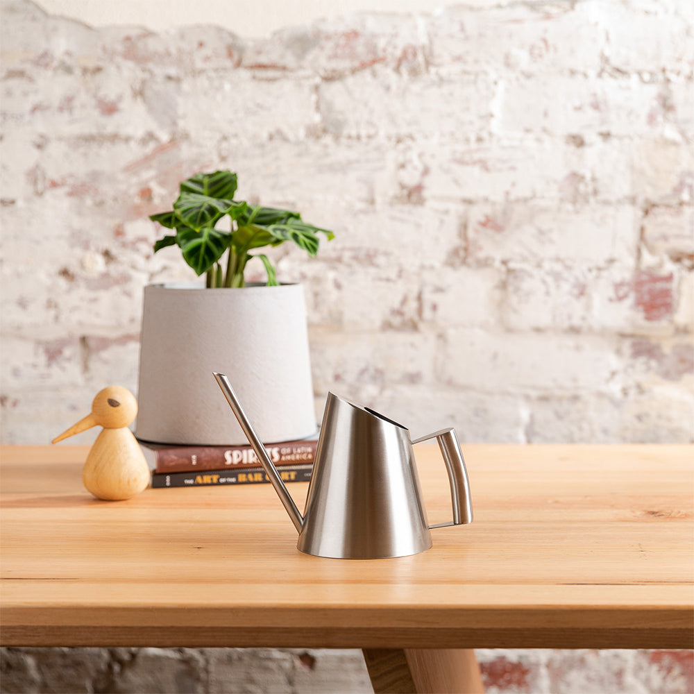 50134180-800ml-stainless-steel-metal-durable-indoors-watering-can