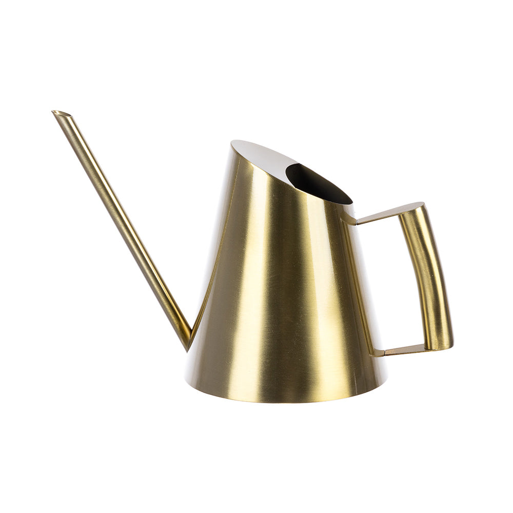 50134197-800ml-bp-stainless-steel-durable-indoors-watering-can