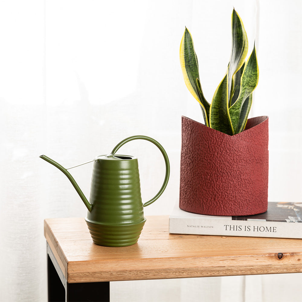 50134234-1l-galvanised-heavy-duty-outdoor-home-watering-can-green