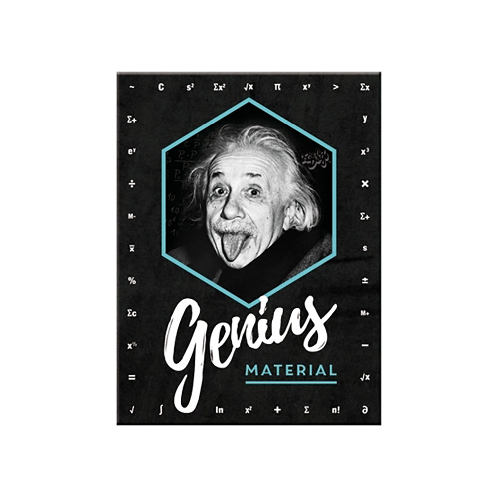 5114395-nostalgic-art-fridge-rectangle-magnet-einstein-genius-6x8cm