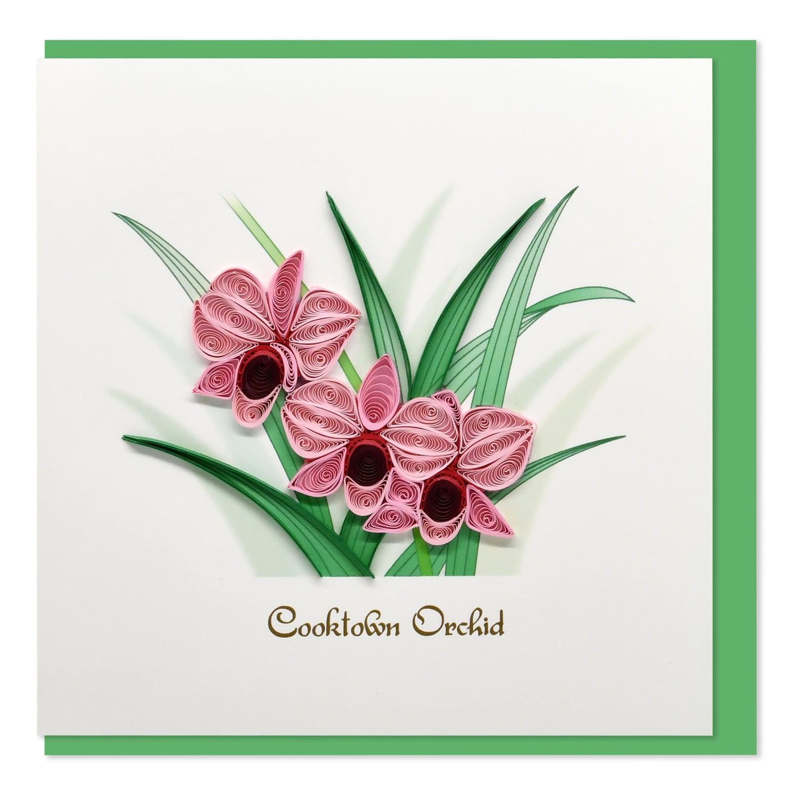 52l058-boyle-handmade-paper-15x15cm-quilled-greeting-card-cooktown-orchid