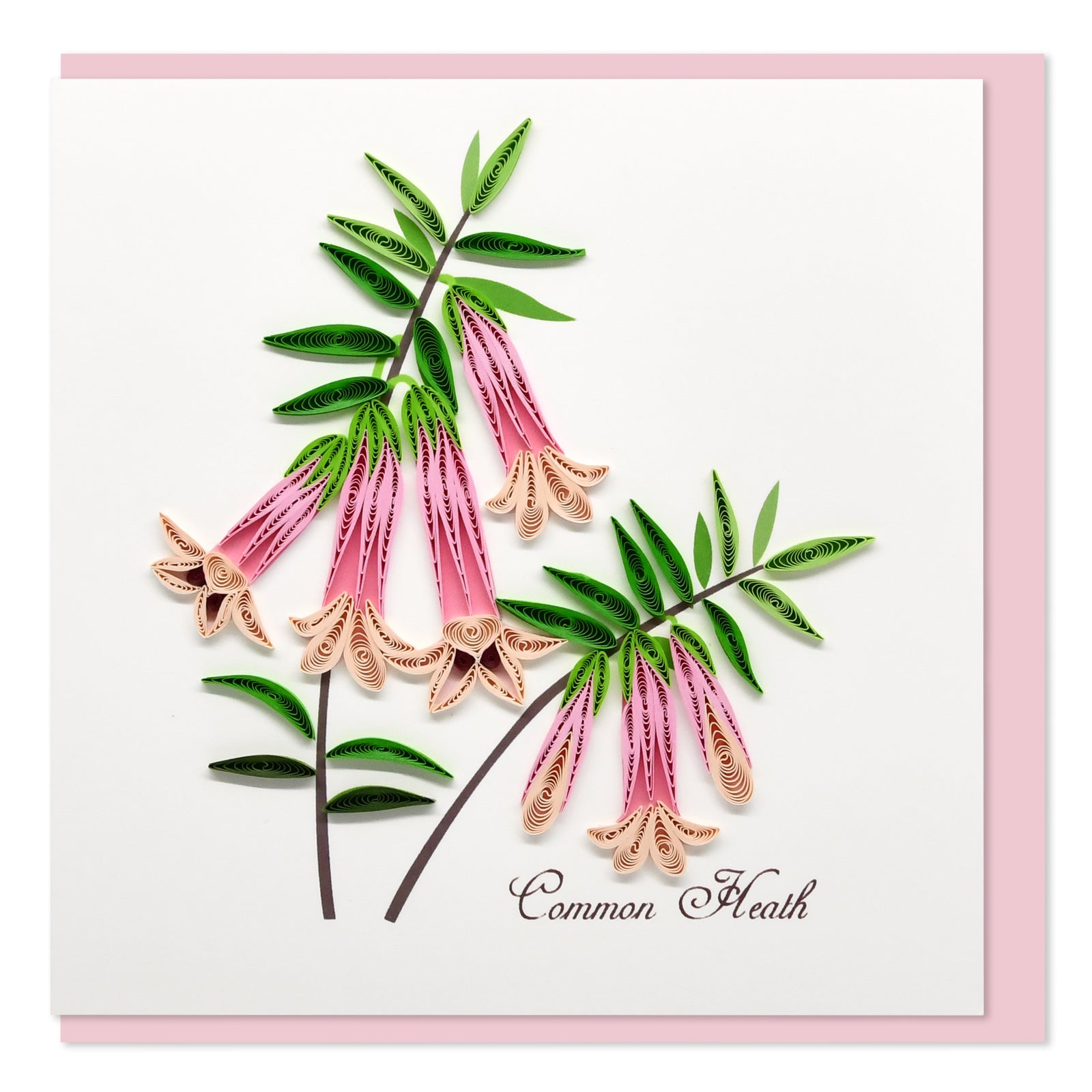 52l070-boyle-handmade-paper-15x15cm-quilled-greeting-card-common-heath-flower