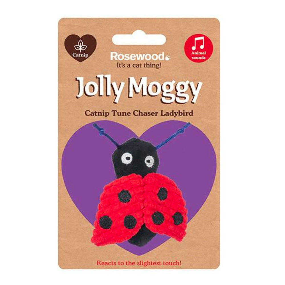 11208-rosewood-pet-jolly-moggy-catnip-tune-chaser-ladybird