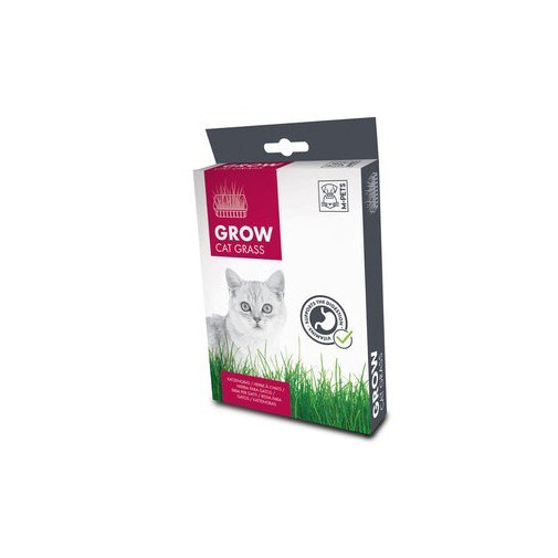 29010503-m-pets-70g-grow-cat-kitten-pet-grass-hydroponic-box-organic-planting