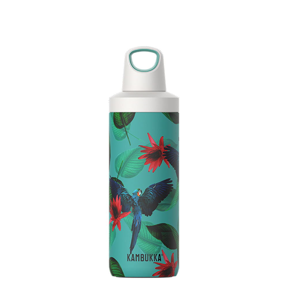 38081-kambukka-reno-500ml-vacuum-insulated-water-bottle-parrots