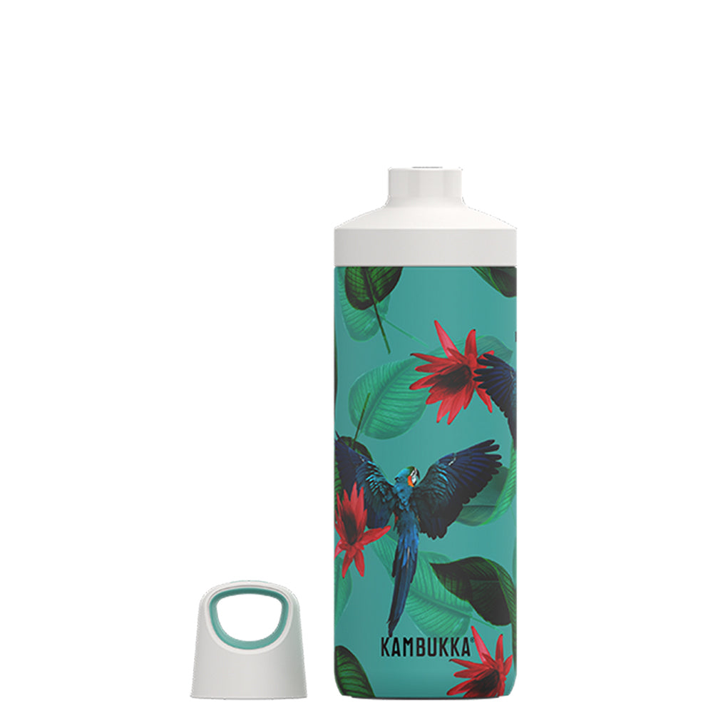 38081-kambukka-reno-500ml-vacuum-insulated-water-bottle-parrots