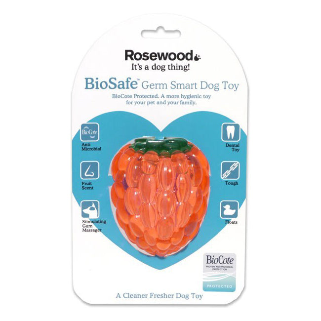 43008-rosewood-10cm-antimicrobial-raspberry-biosafe-pet-dog-dental-chew-toy-orange