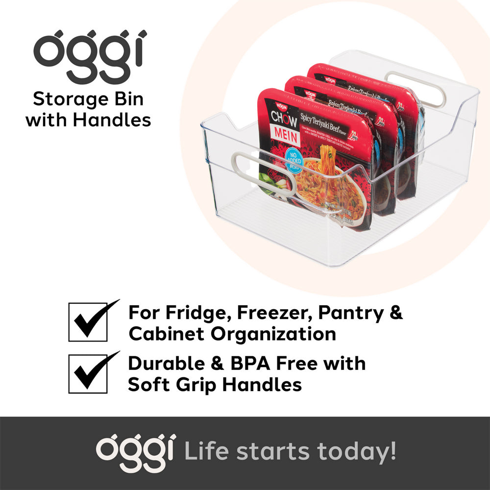 47243-oggi-30x13cm-cabinet-storage-bin-w-soft-grip-handles-clear