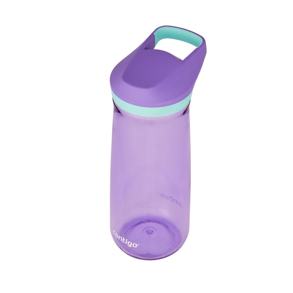 507395-contigo-kids-tweenies-micah-jade-591ml-water-bottle-purple
