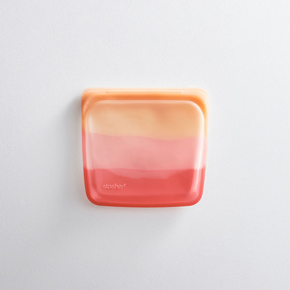 73113-stasher-silicone-828ml-19cm-reusable-sandwich-bag-galapagos