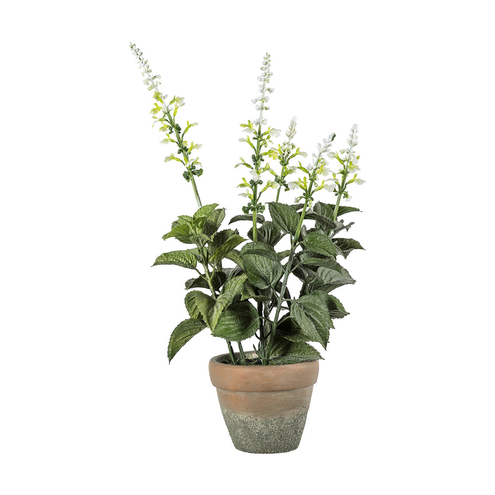 5059413398803-hudson-living-20x46cm-potted-salvia-artificial-plant-white