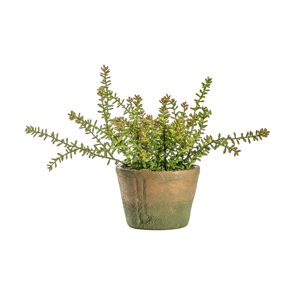 5059413398872-hudson-living-28cm-potted-sedum-burrito-artificial-plant-home-decor