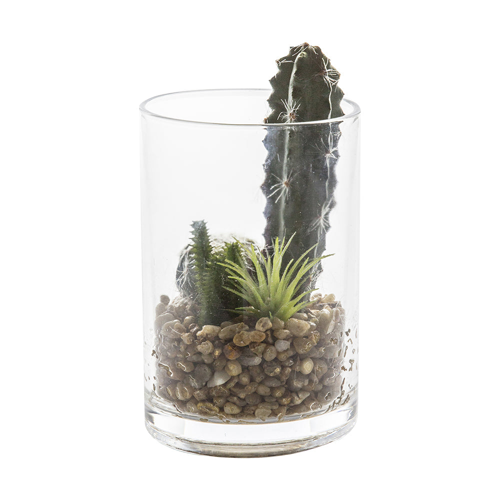 5059413399213-hudson-living-artificial-18cm-cactus-garden-in-glass-jar
