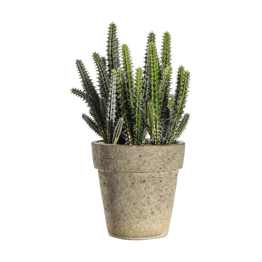 5059413399435-hudson-living-artificial-27cm-cactus-cereus-w-cement-pot-small