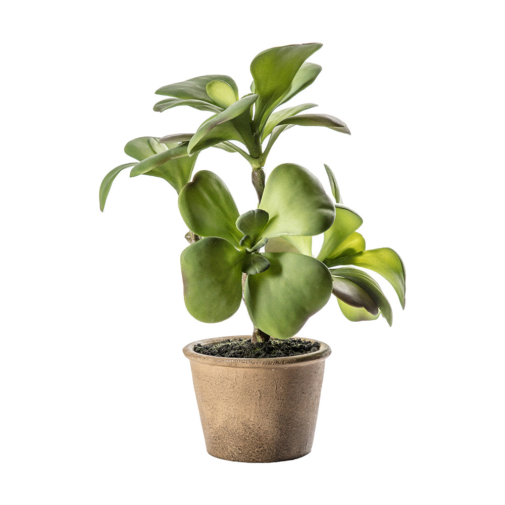 5059413399572-hudson-living-28x35cm-potted-kalanchoe-artificial-plant-large
