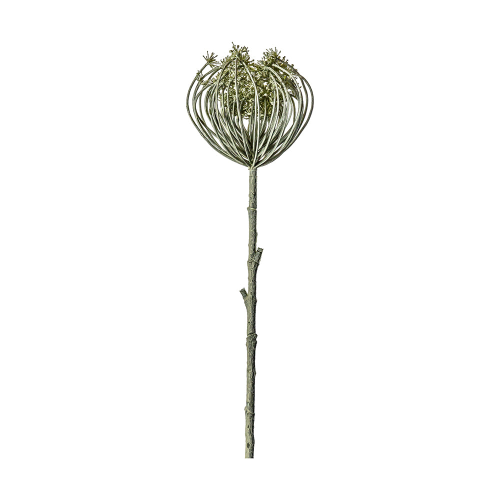 5059413400575-hudson-living-artificial-queen-anne-54cm-lace-closed-stem-dry-look-faux-flower