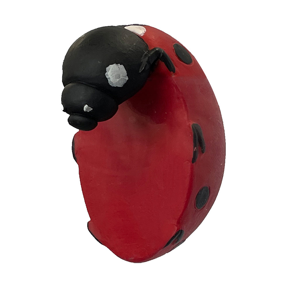 5059413410871-2pk-hudson-living-eve-ladybird-pot-rim-hanger-red