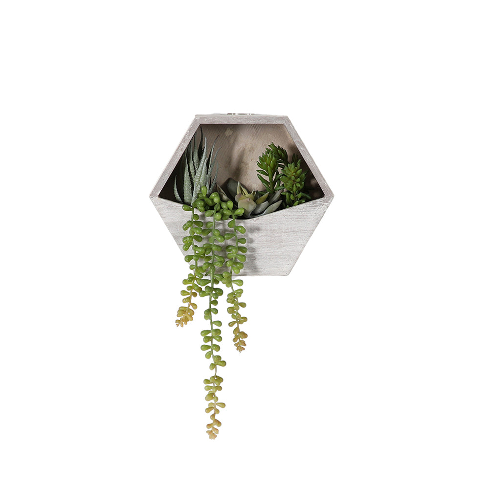 5059413694387-hudson-living-38x20cm-wall-planter-w-agave-succulent-mix