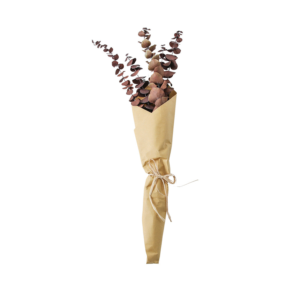5059413695537-hudson-living-68cm-dried-eucalyptus-bundle-paper-wrap-dark-purple