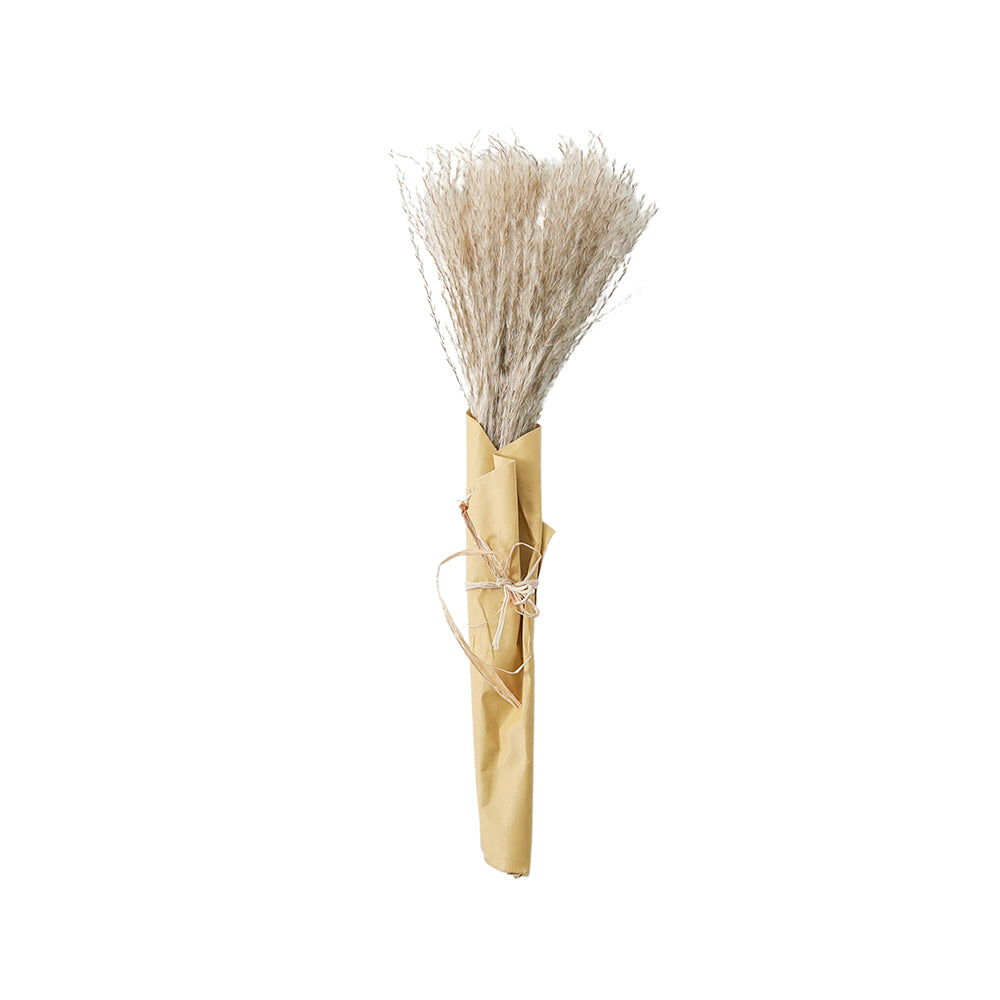 5059413695551-hudson-living-artificial-56cm-dried-reed-grass-bundle-paper-wrap-natural