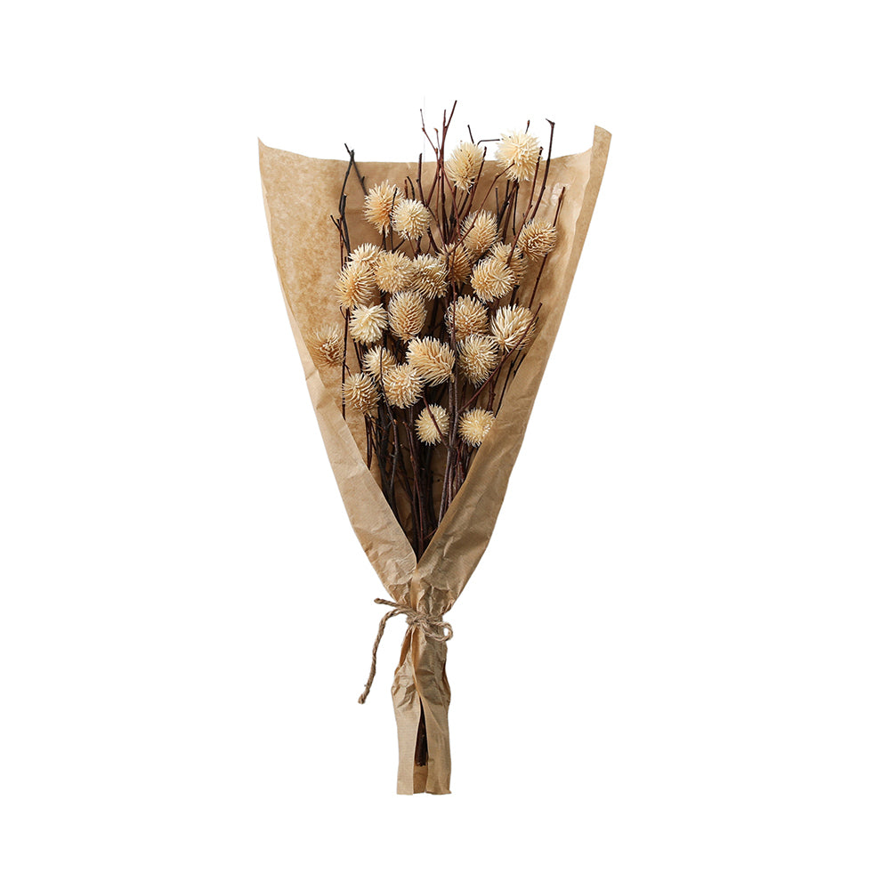 5059413695612-hudson-living-dried-54cm-thistle-bundle-in-paper-wrap-natural